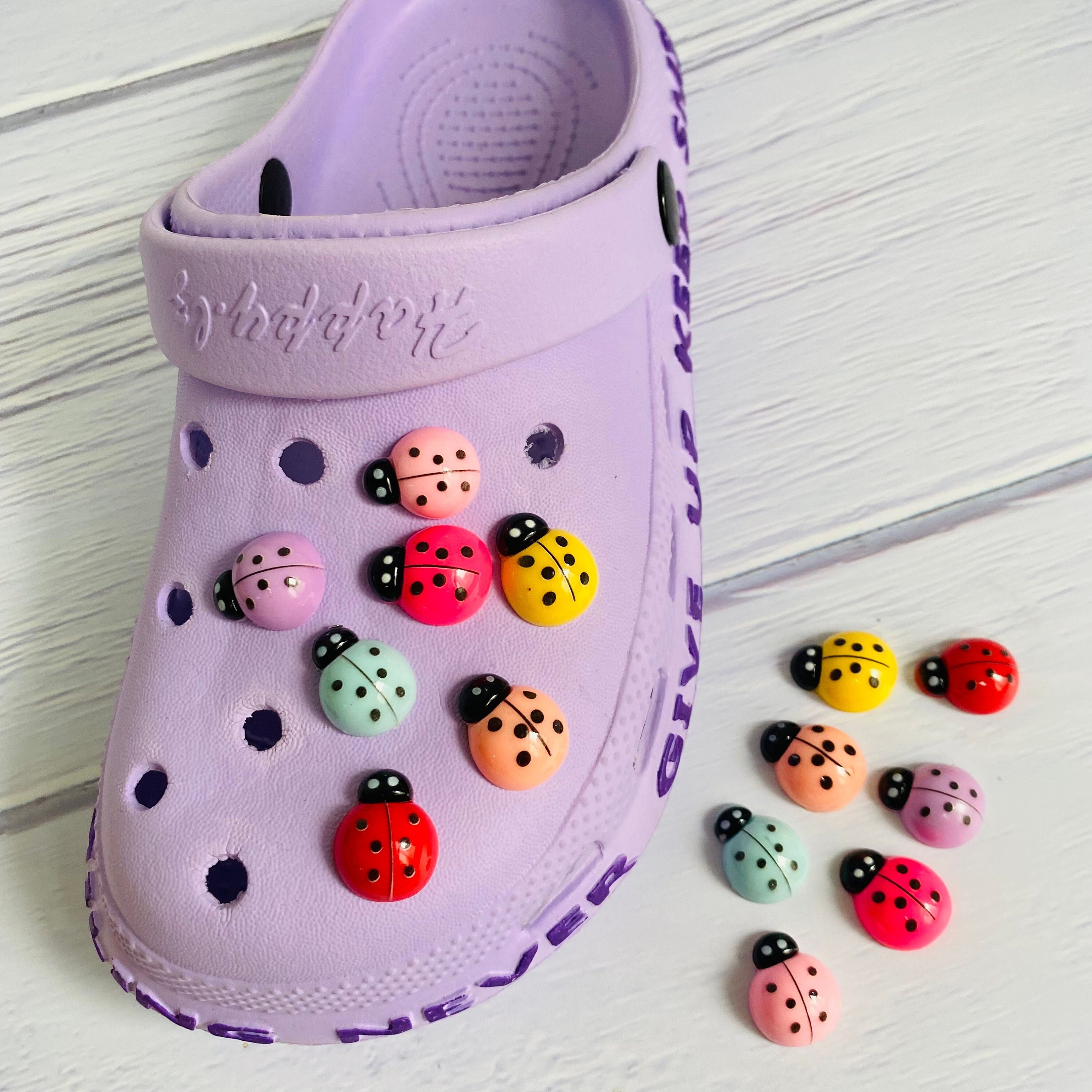 Ladybug jibbitz new arrivals