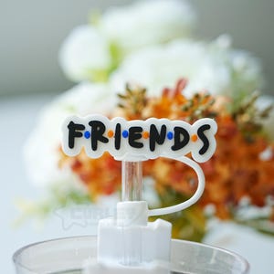 Friends Straw Topper, Straw Cap for Tumbler,  10mm Fun Straw Topper, Letter Charm Straw Accessories, Straw Decoration, Best firend Gift