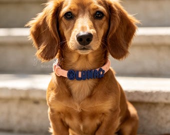May include: A long-haired dachshund with reddish-brown fur wearing a light pink collar. The collar features dark blue, raised, block-letter charms that spell out the name LUNA, flanked by a paw print icon on the left and a flower icon on the right.