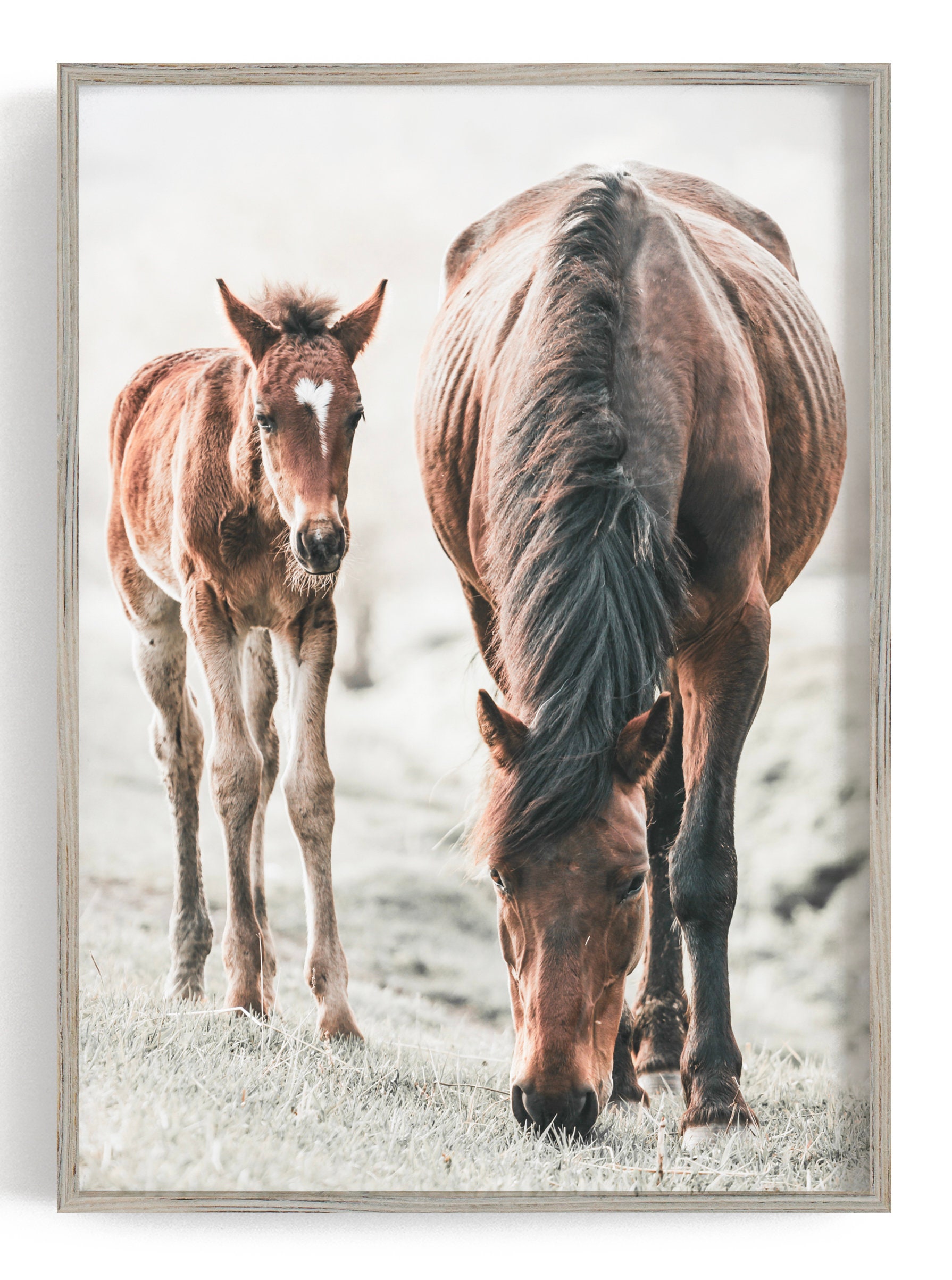 Horse Poster Set Set of 4 Prints Canvas Wall Art Farmhouse Etsy