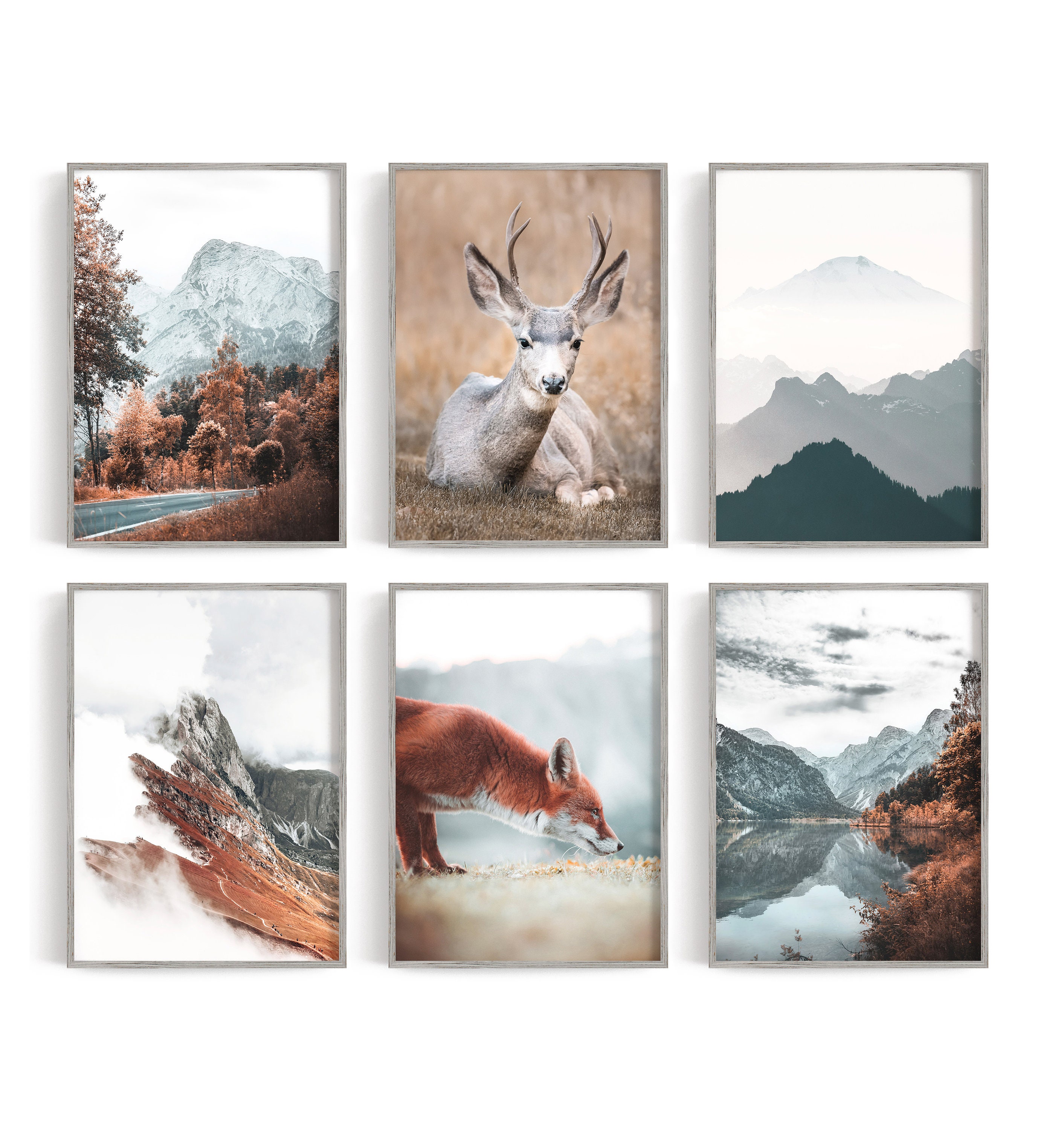 Animal Poster SetSet of 6 Prints Autumn Poster Forest | Etsy