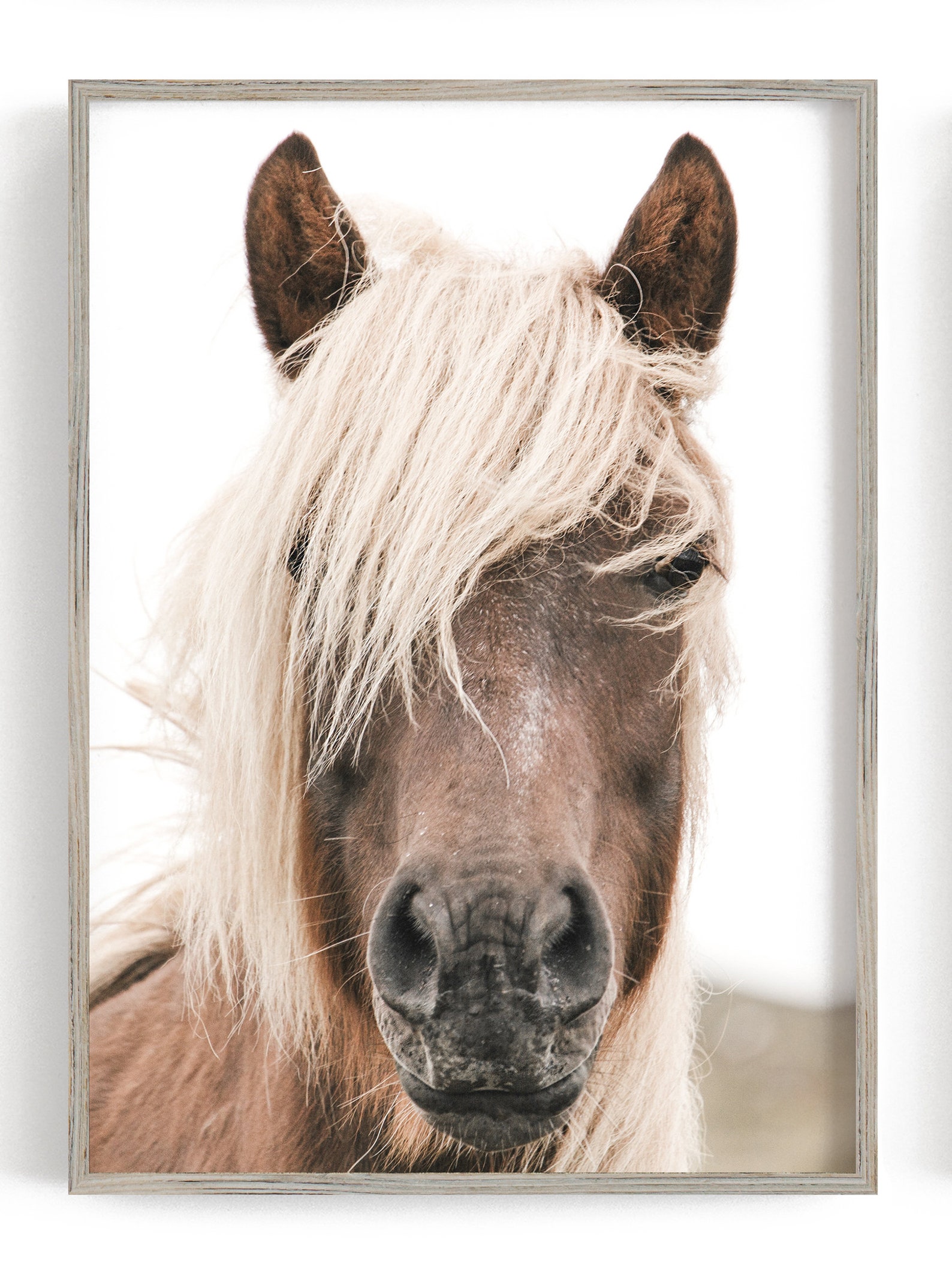 Pferde Poster 6er Set Druck Natur Wandkunst Bauernhof Tier | Etsy