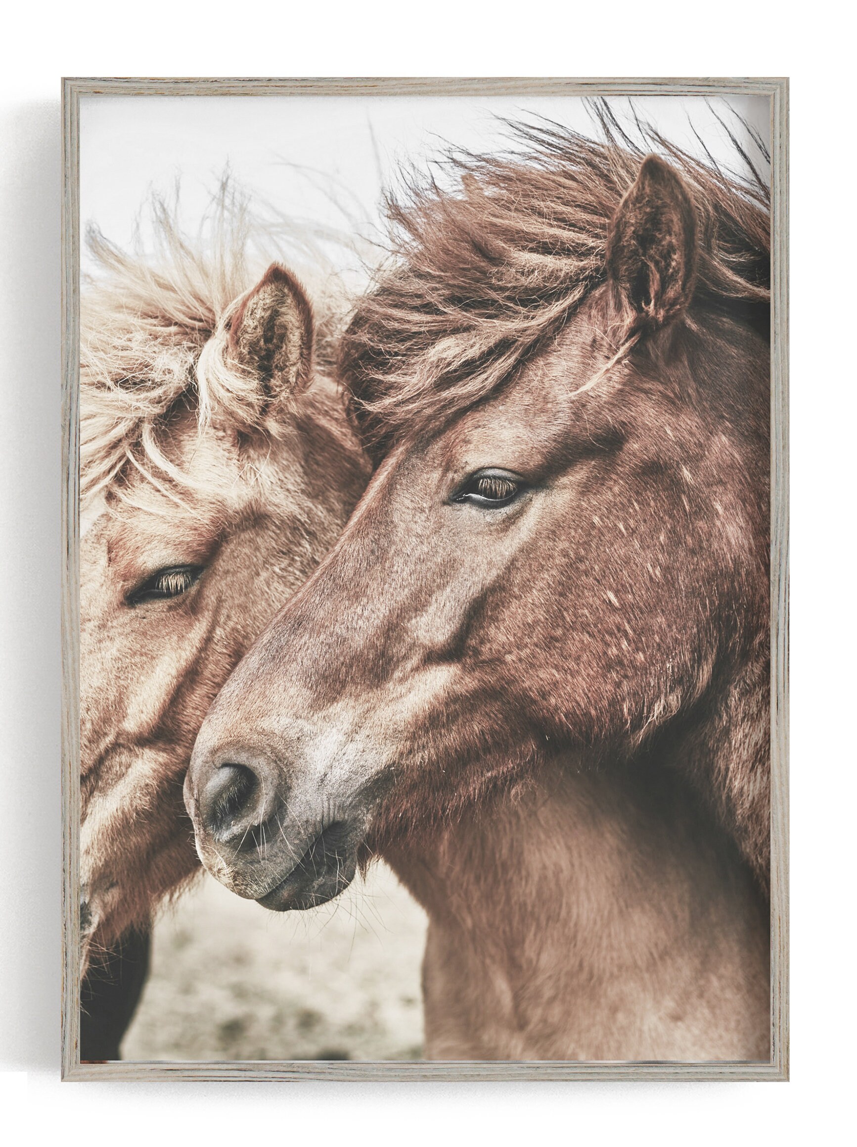 Pferde Poster 6er Set Druck Natur Wandkunst Bauernhof Tier | Etsy