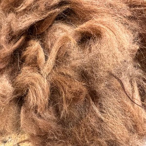 May include: A close-up of a pile of brown animal fur. The fur is soft and fluffy, and it appears to be from a dog or cat.
