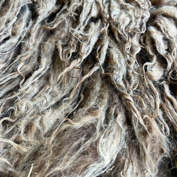 Shetland Sheep Ewe entire raw fleece #41