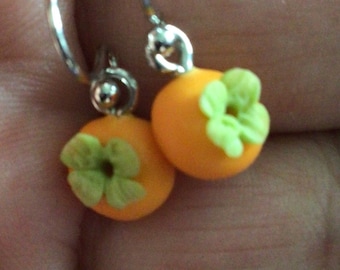 Persimmon Necklace or Earrings (16,032)