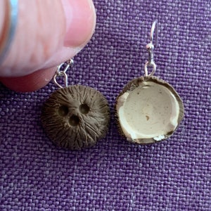 Coconut Necklace or Earrings (10,268)