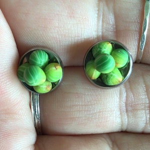 Brussels Sprouts Earrings (12,005)