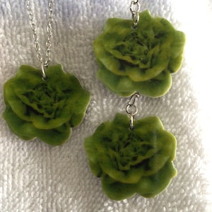 Veggie Necklaces or Earrings (10,044)