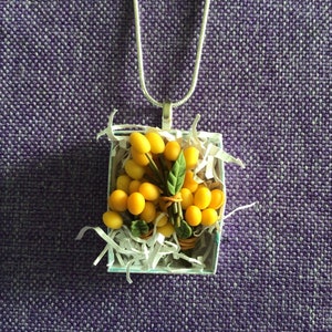 Colar Longan de Frutas Tropicais (12.010)