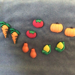 May include: A collection of colorful felt fruit and vegetable shapes, including carrots, tomatoes, pumpkins, pears, and corn. These felt shapes are perfect for crafts, decorations, or educational activities.