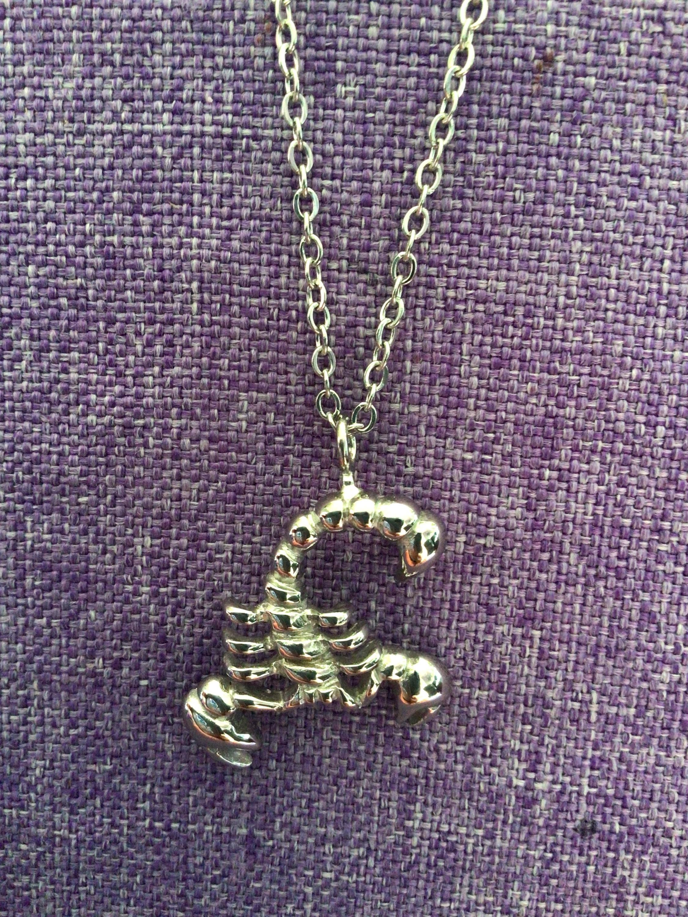Scorpion Necklace (24,024)