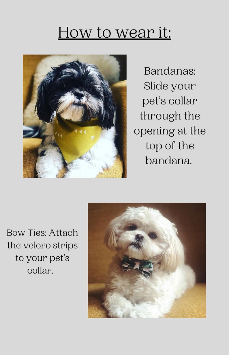 Over The Collar Dog Gift The Hard of Hearing Bandana Dog Bandana Floral Hard Of Hearing