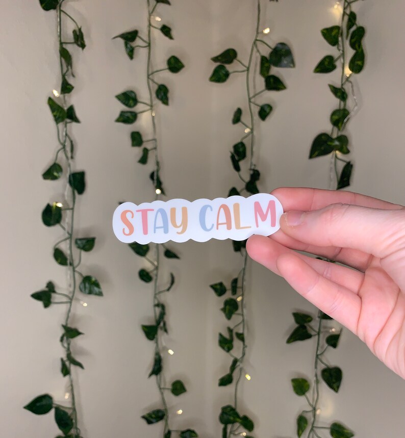 Stay Calm Sticker You Are Enough Sticker Positive Energy Sticker Sticker Pack Pack of 5 Stickers Cute Aesthetic Sticker Pack Flowers