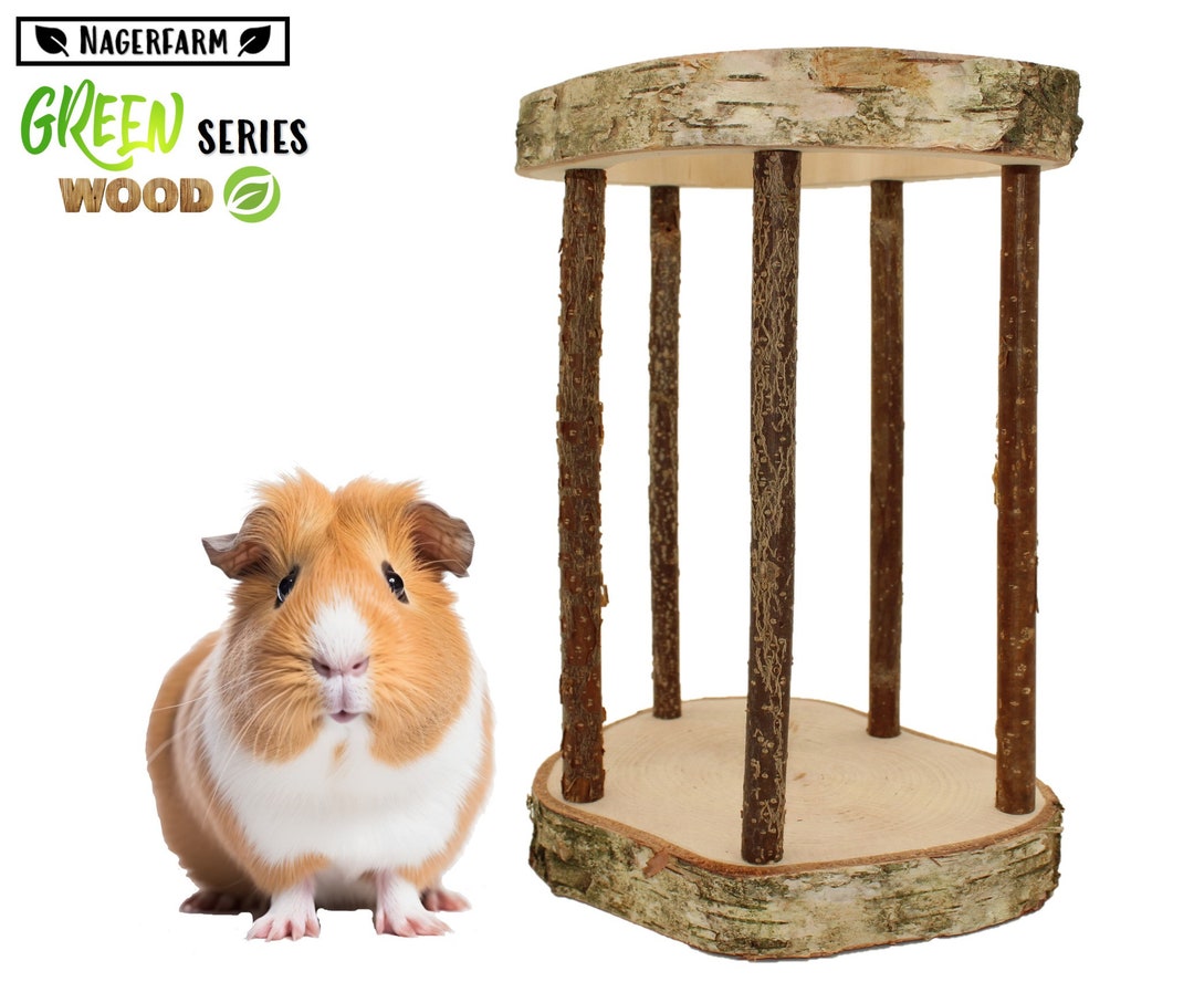 Easy One Hay Rack for Guinea Pigs - Holds the Hay Safely - Species ...