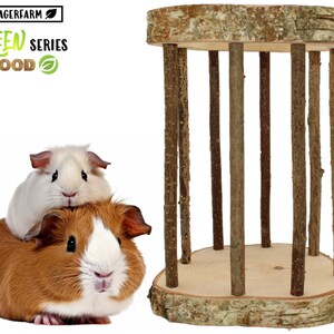Easy Two rack de feno para porquinhos-da-índia - segura o feno com segurança - ração de feno apropriada para a espécie - desenvolvida especialmente para porquinhos-da-índia - qualidade superior