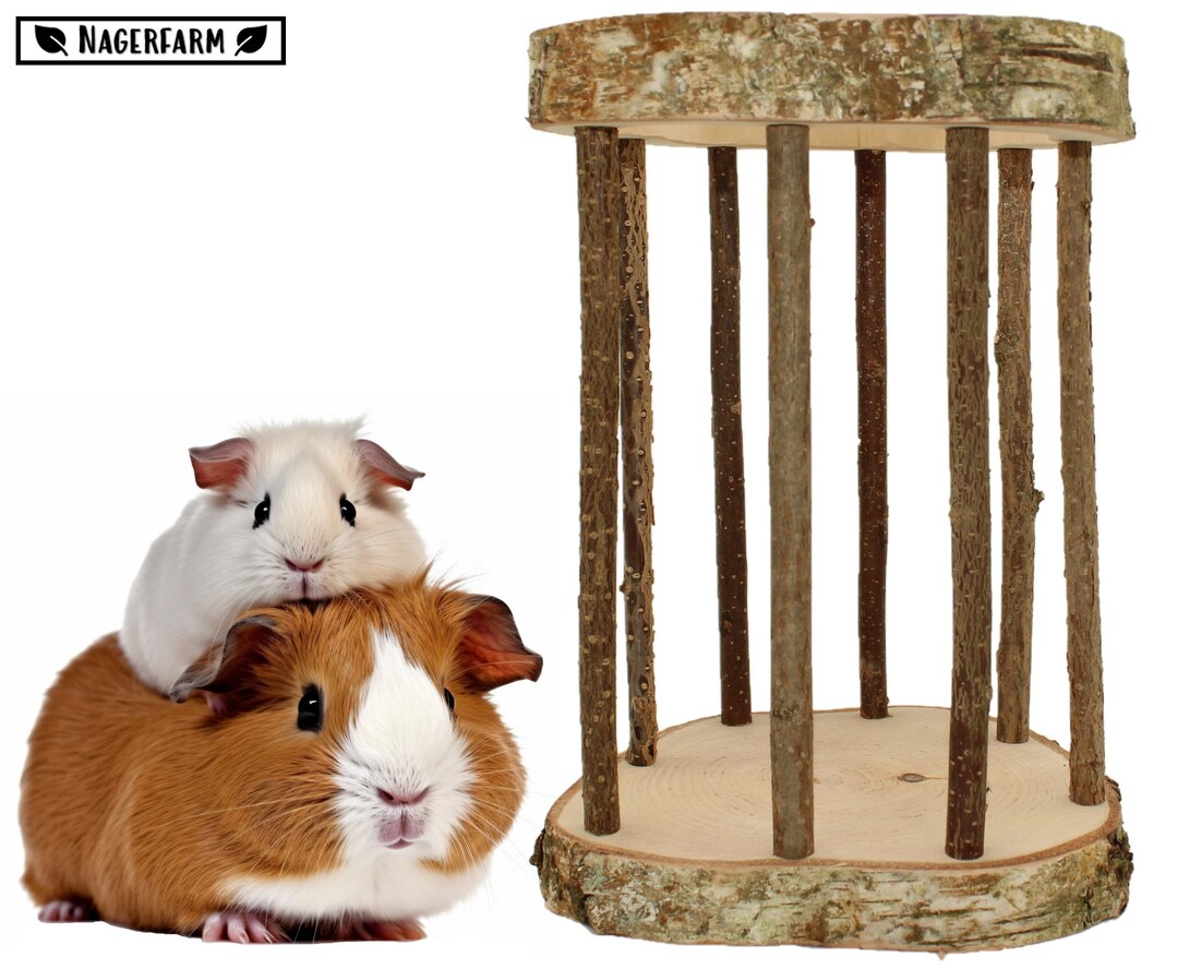 Easy Two Hay Rack for Guinea Pigs Holds the Hay Safely Etsy