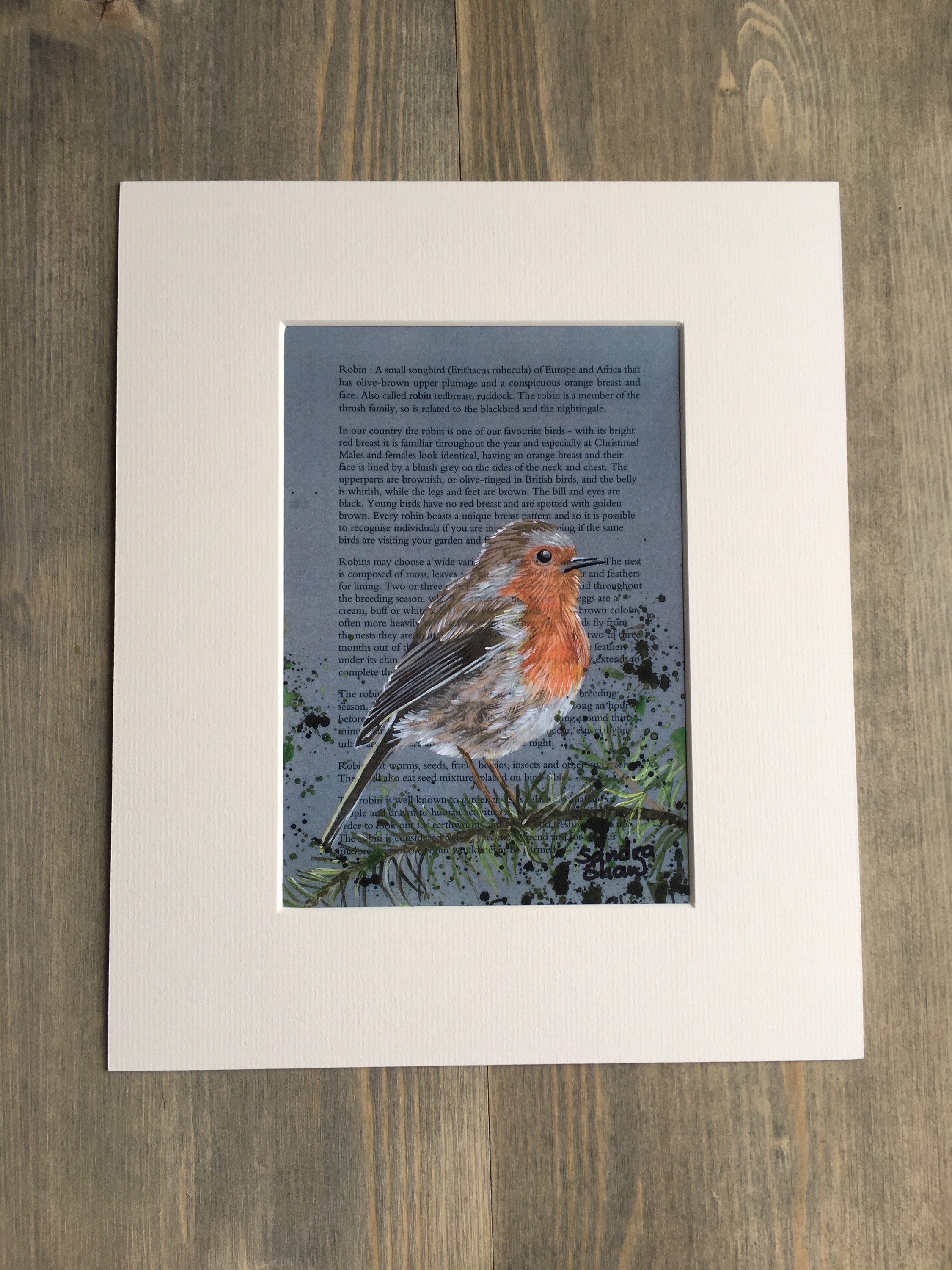 Buy Cute Robin Print Robin Acrylic Print Robin on Branch Print Cute