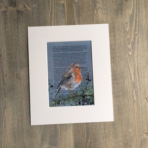 Cute Robin Print - Robin Acrylic Print - Robin on Branch Print - Cute Robin - Northern Ireland Artist - Unique Robin Print - Robin Redbreast