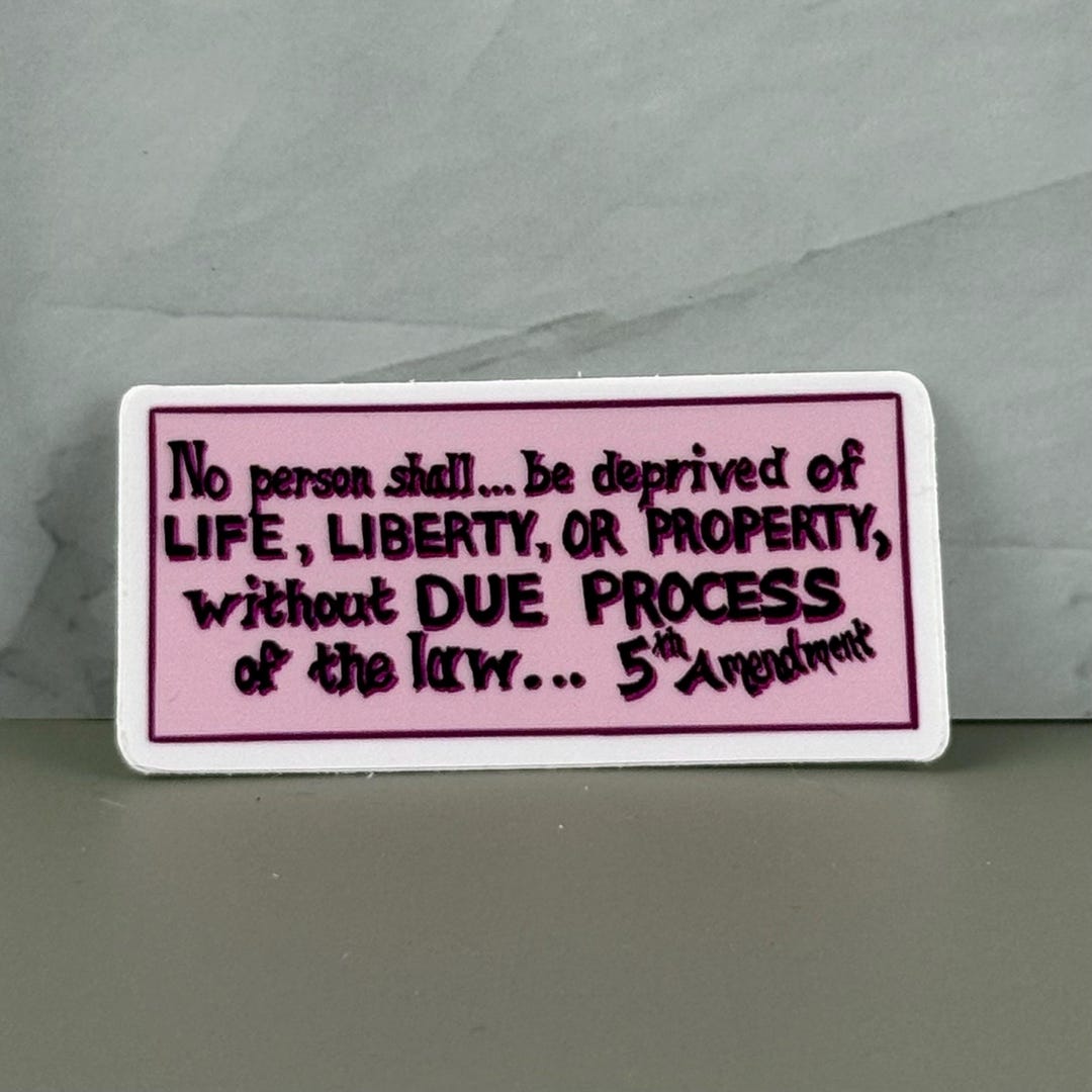 5th Amendment Vinyl Sticker - Etsy