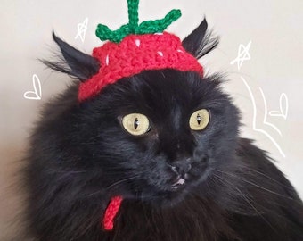Crochet strawberry cat hat