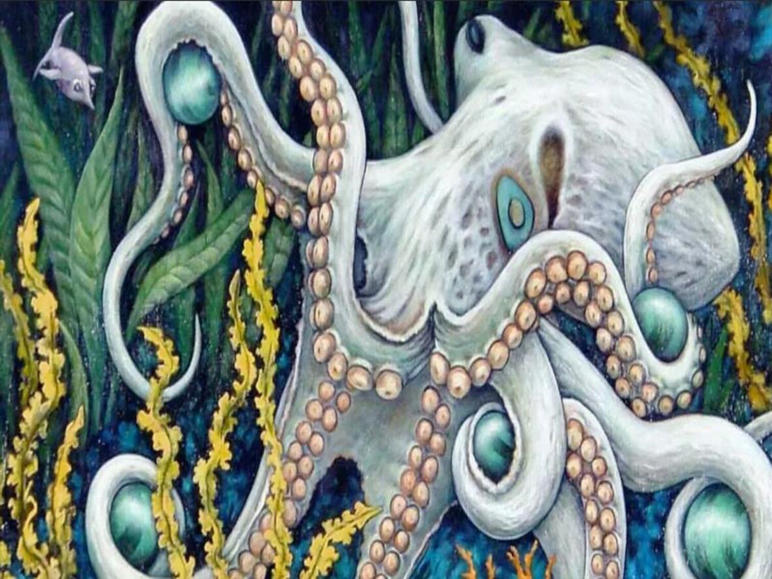 White Octopus DIY 5D Diamond Painting Kit Full Square/ Round | Etsy