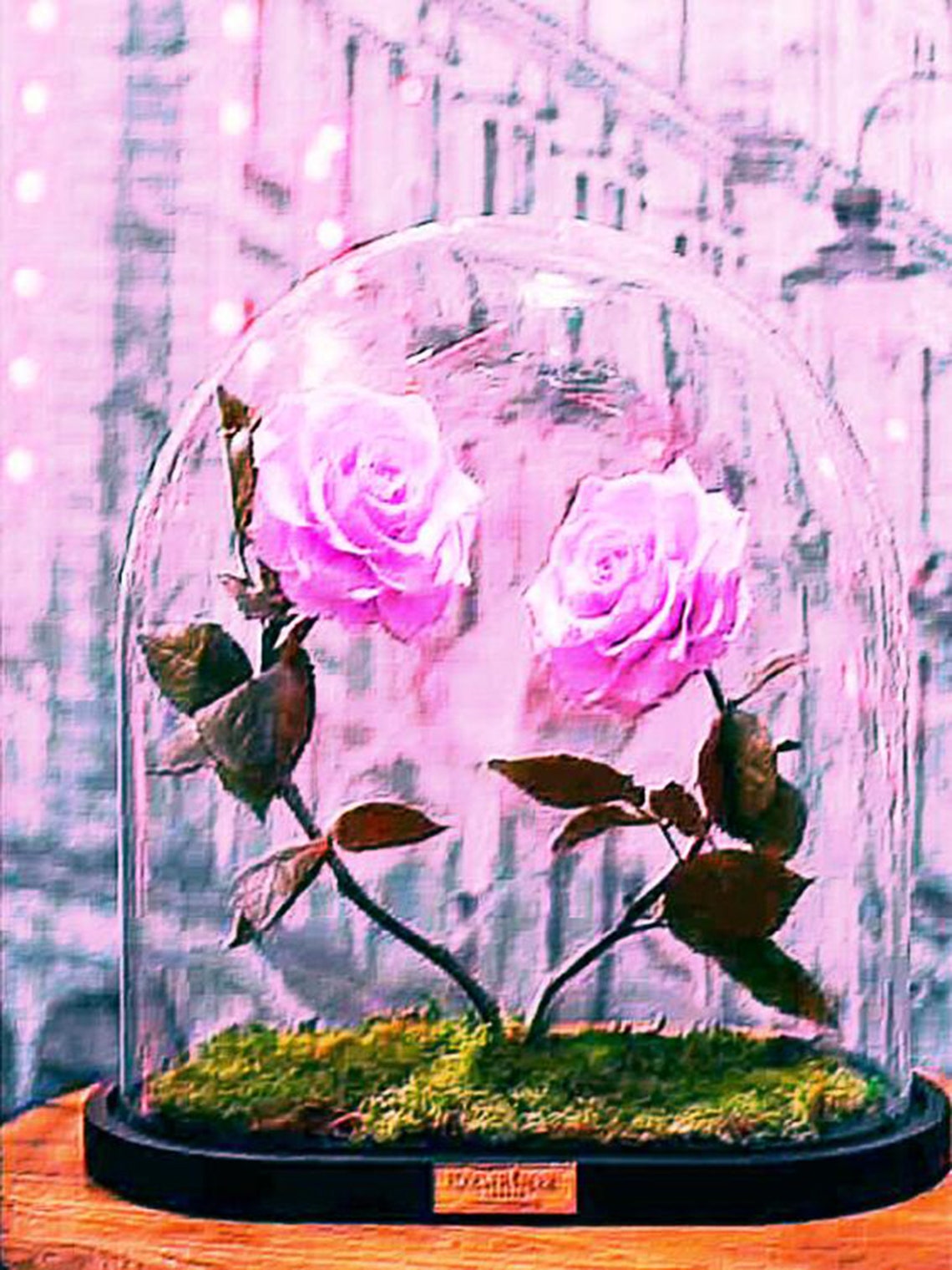 ENCHANTED ROSE Full Drill Beauty & The Beast Diamond Painting | Etsy