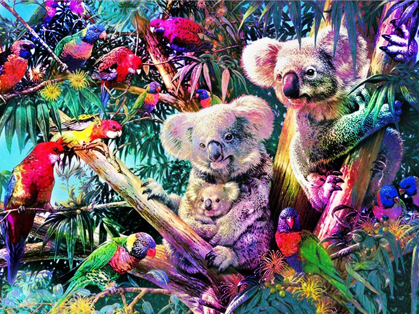 Full Square Diamond Painting Koala Animal Home Decoration Etsy