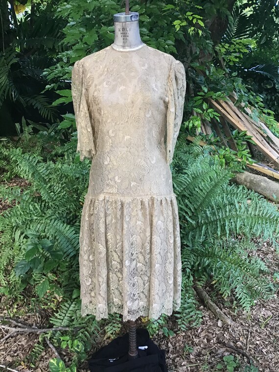 Vintage Albert Nipon dress silk lace
