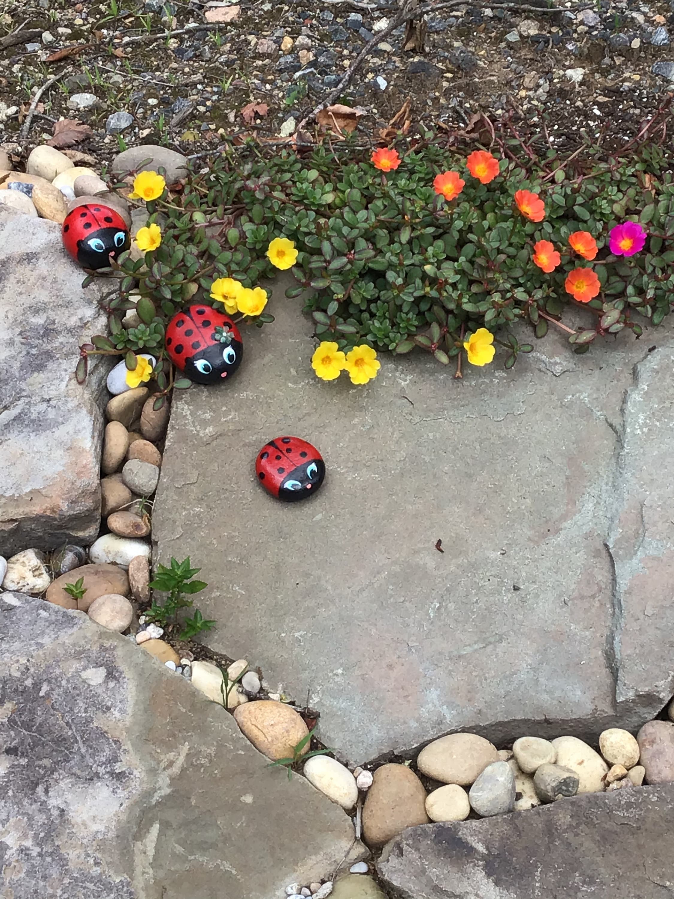 Spring Painted Ladybug Rocks Painted Ladybug Rocks - Etsy