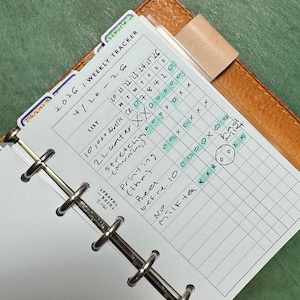 Pode incluir: Uma página de rastreamento semanal de um planejador, com entradas manuscritas e marcas de seleção. A página está aberta, revelando uma grade com datas e listas de atividades como '10.000 passos' e '2L água'. O rastreador está em um planejador de couro.