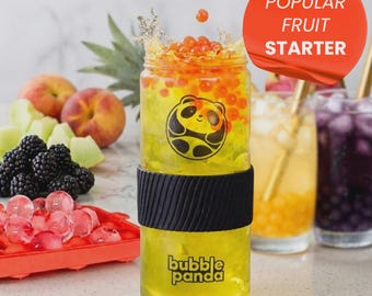 Fruit Starter Bubble Tea Kit