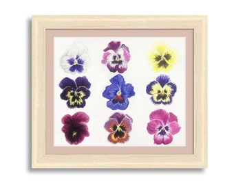 Pansy Varietal Illustration | Watercolor Painting | Florals Flowers Pansies