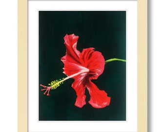 Pittura di ibisco / Arte floreale della parete / Inchiostro a guazzo e acquerello