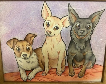 Pet Portraits