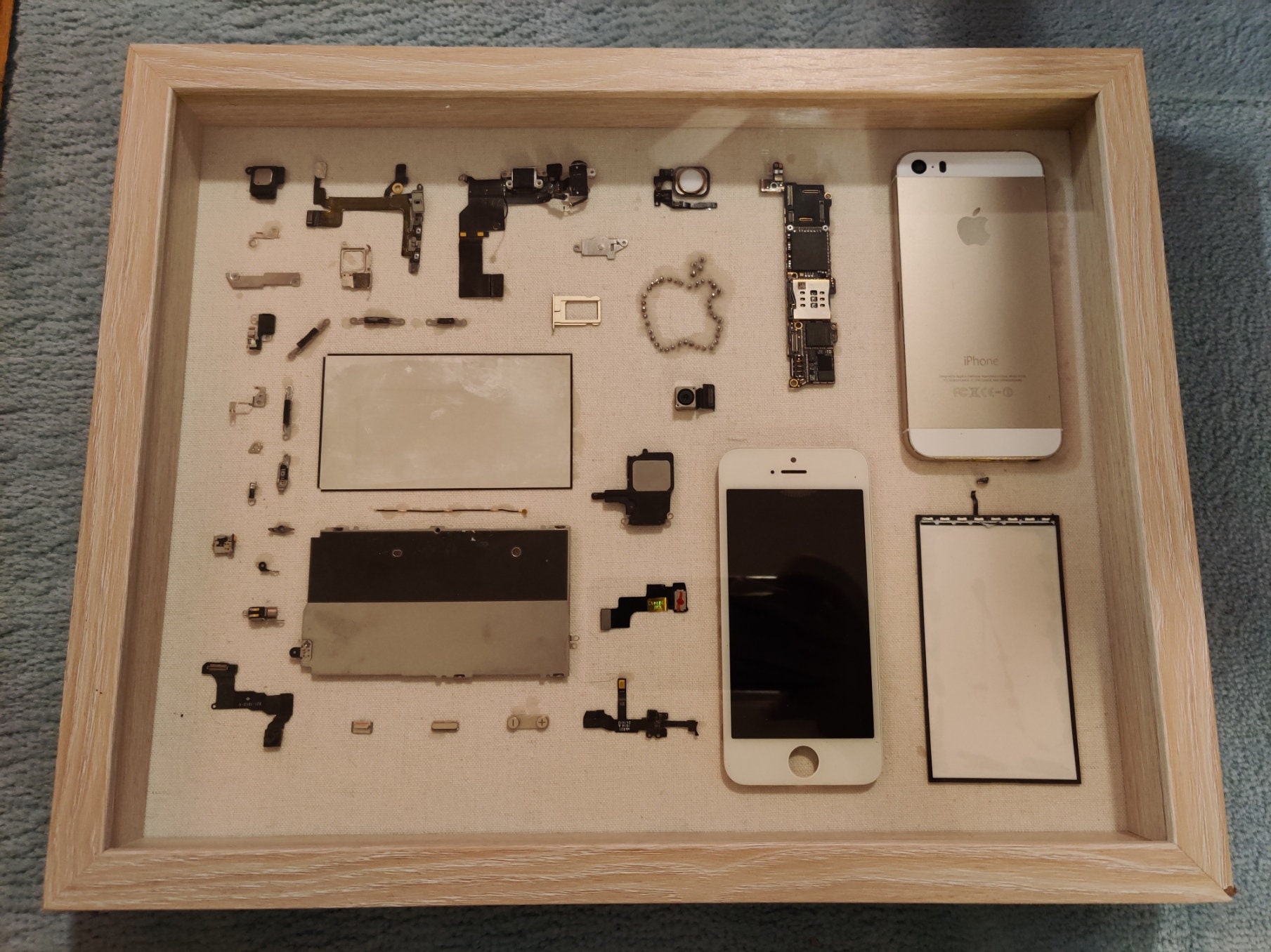 Apple iPhone 5S Teardown/framed/disassembled Cell Phone Component