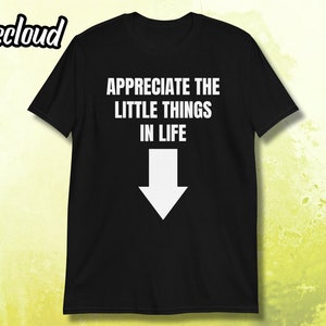 Appreciate The Little Things In Life T-Shirt | Funny shirt, sarcastic shirt, joke shirt, sarcastic gift idea, funny gift, humorous shirt