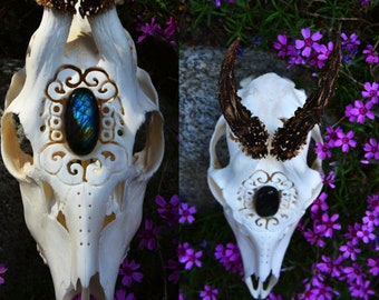 On Stock! Perfect present for skull lovers | Carved roe deer with labradorite cabochon | Healing abilities stone | Real skull and stone