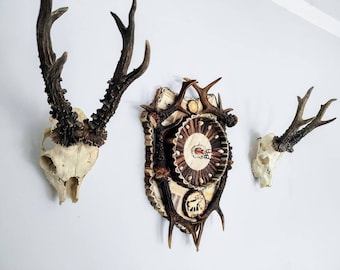 Antler clock | Vintage wall decoration - carved deer antler roe deer antlers deer skull