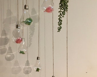 Rustic Glass mobile / chandelier - succulent - air plant - candle holder - rustic - boho -