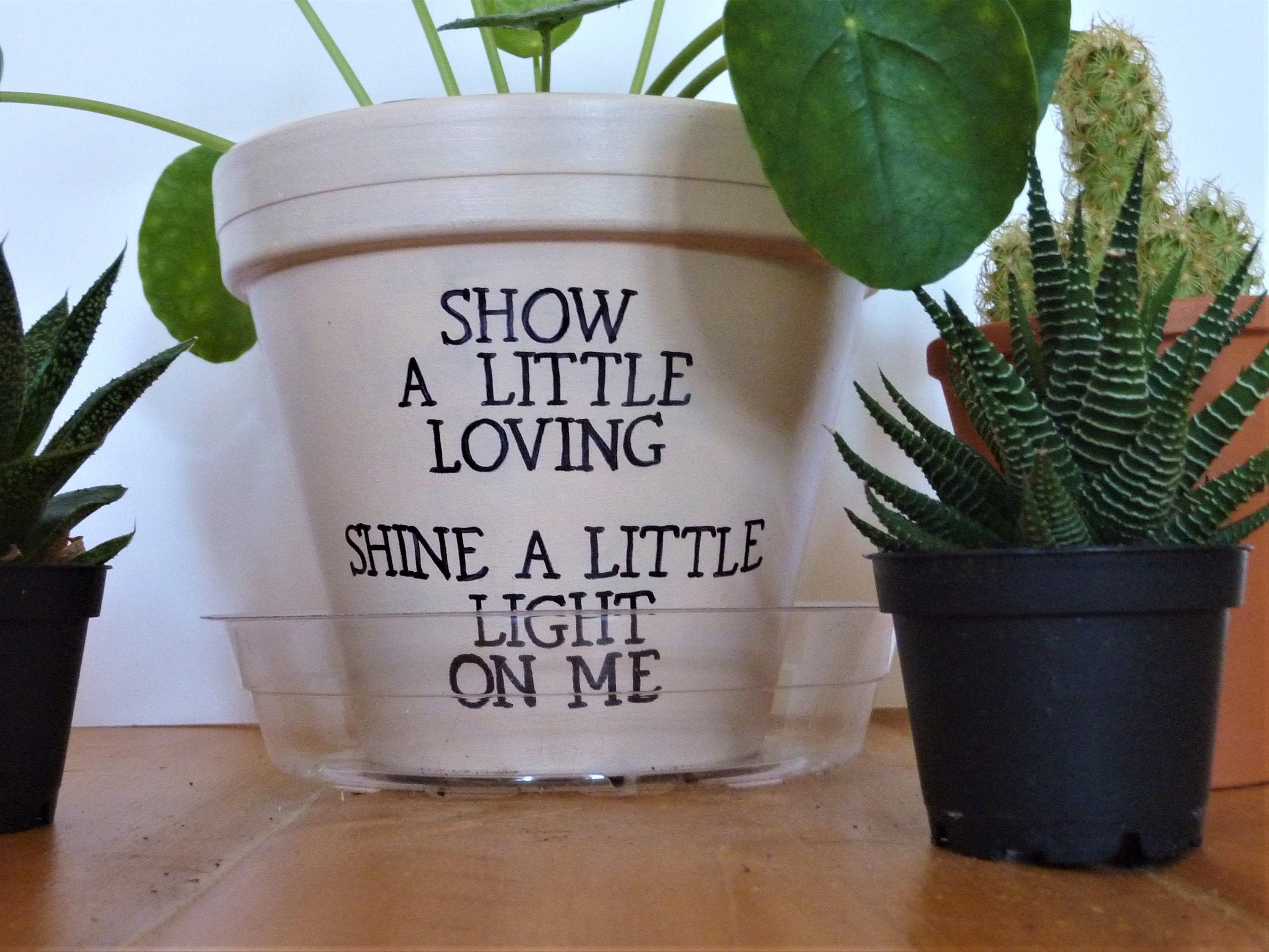 Terra Cotta Planter featuring lyrics from Lovers by Anna of the North