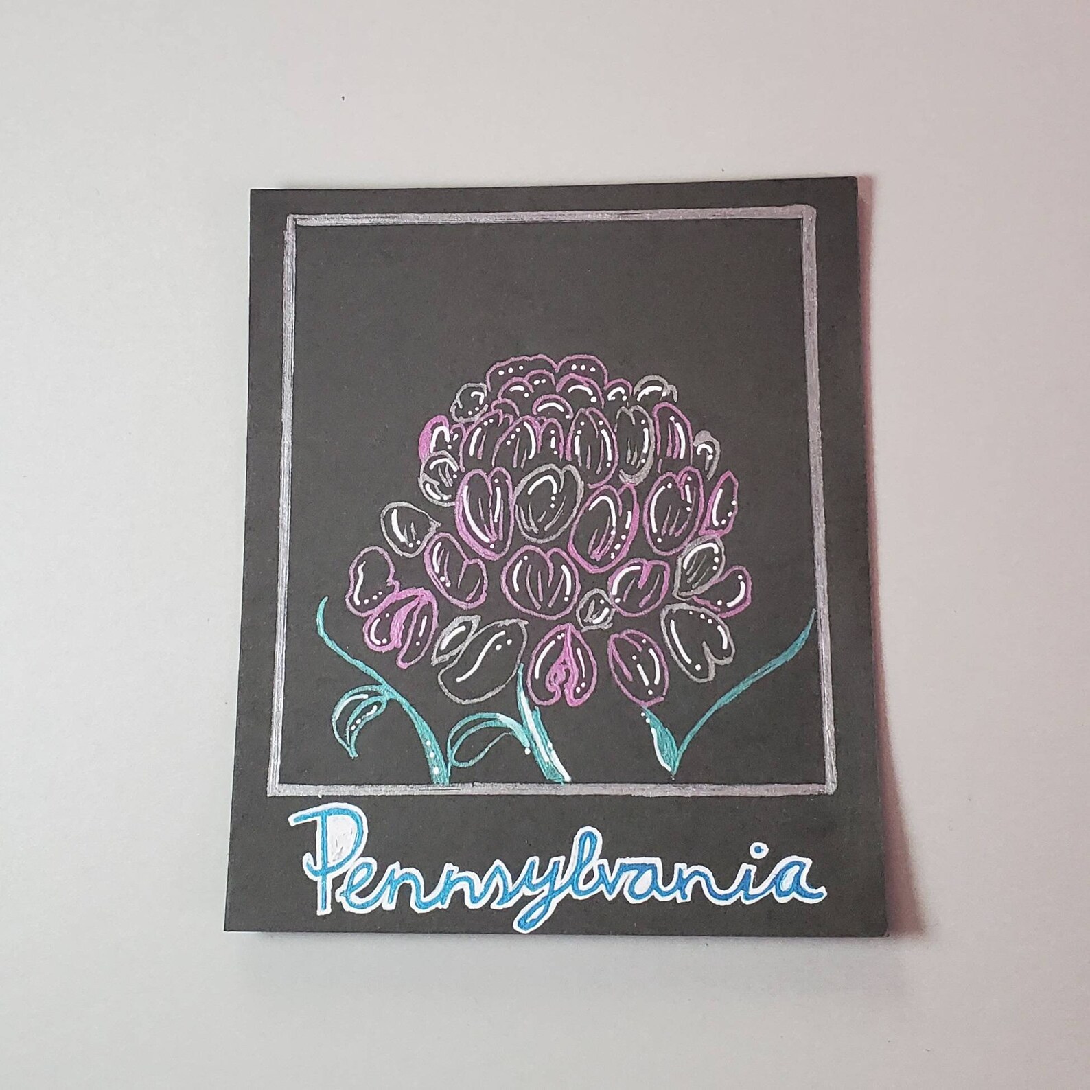 Pennsylvania State Flower: Penngift Crown Vetch, Flowers With Meaning