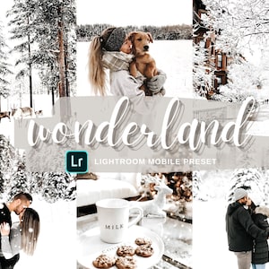 Lightroom Mobile Preset, Christmas Presets, Winter Filter, Instagram Filters, iPhone Presets, Lightroom Filter, Bright White Photo Filter
