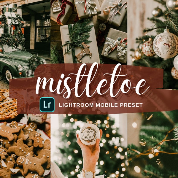 Lightroom Mobile Preset, Holiday Presets, Instagram Filters, VSCO Filters, iPhone Presets, Lightroom Preset, Lifestyle Presets, Christmas