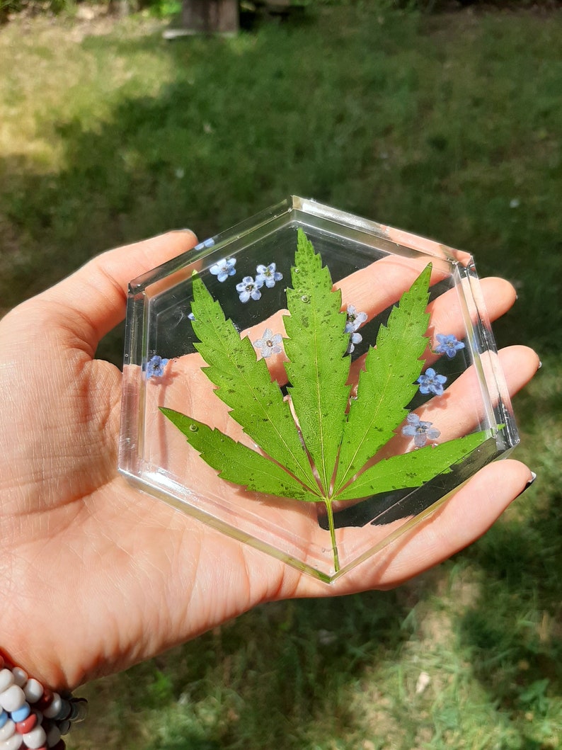 Forget-Me-Not 420 Trinket Tray