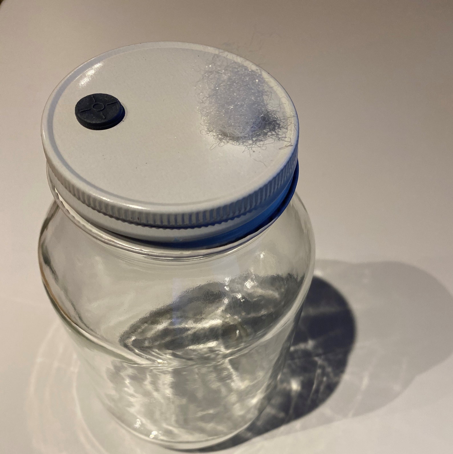 Spawn Grain Jar Glass Mason Jar 32 Ounce 1 Quart Regular Etsy