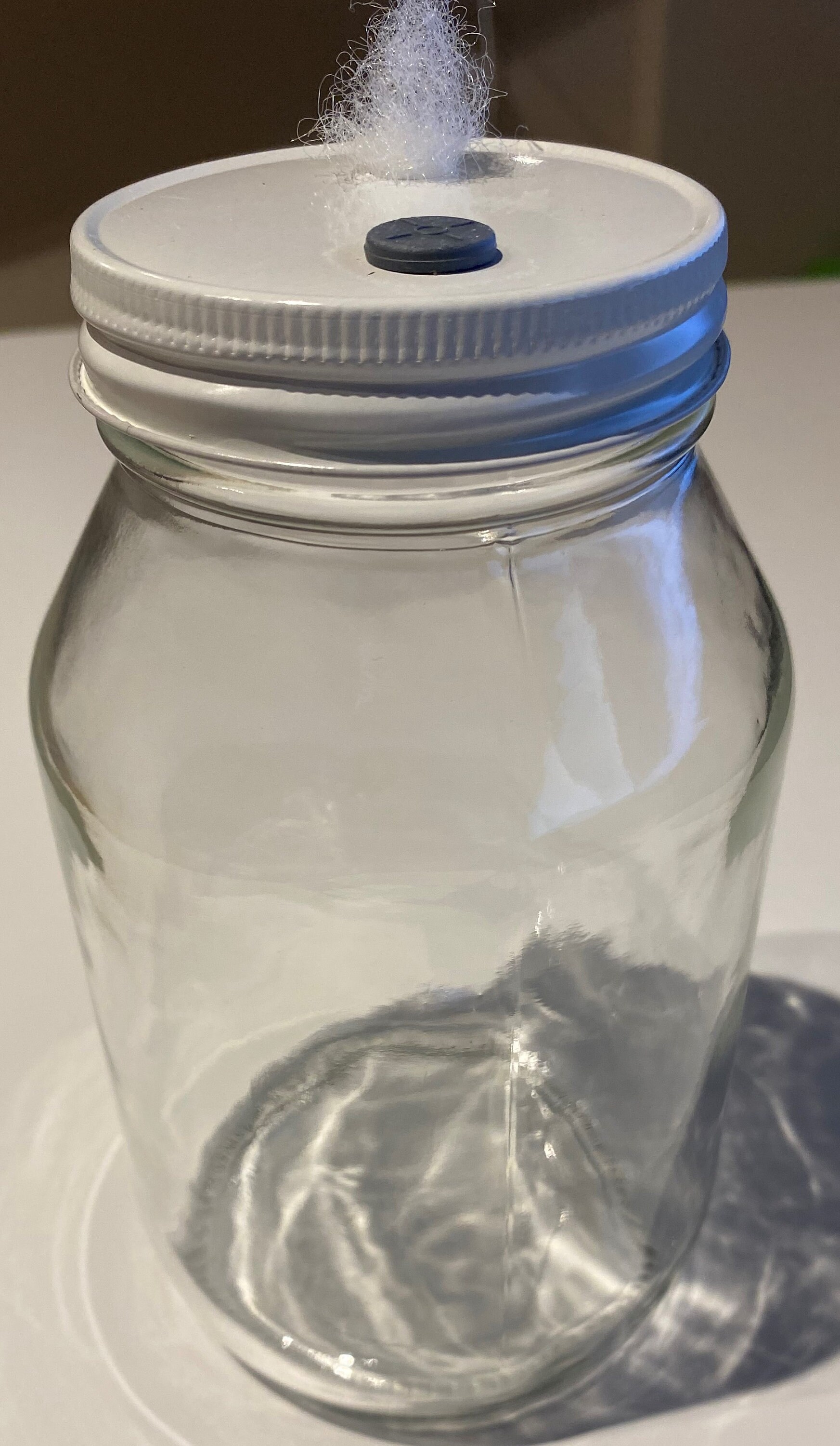 Spawn Grain Jar Glass Mason Jar 32 Ounce 1 Quart Regular Etsy