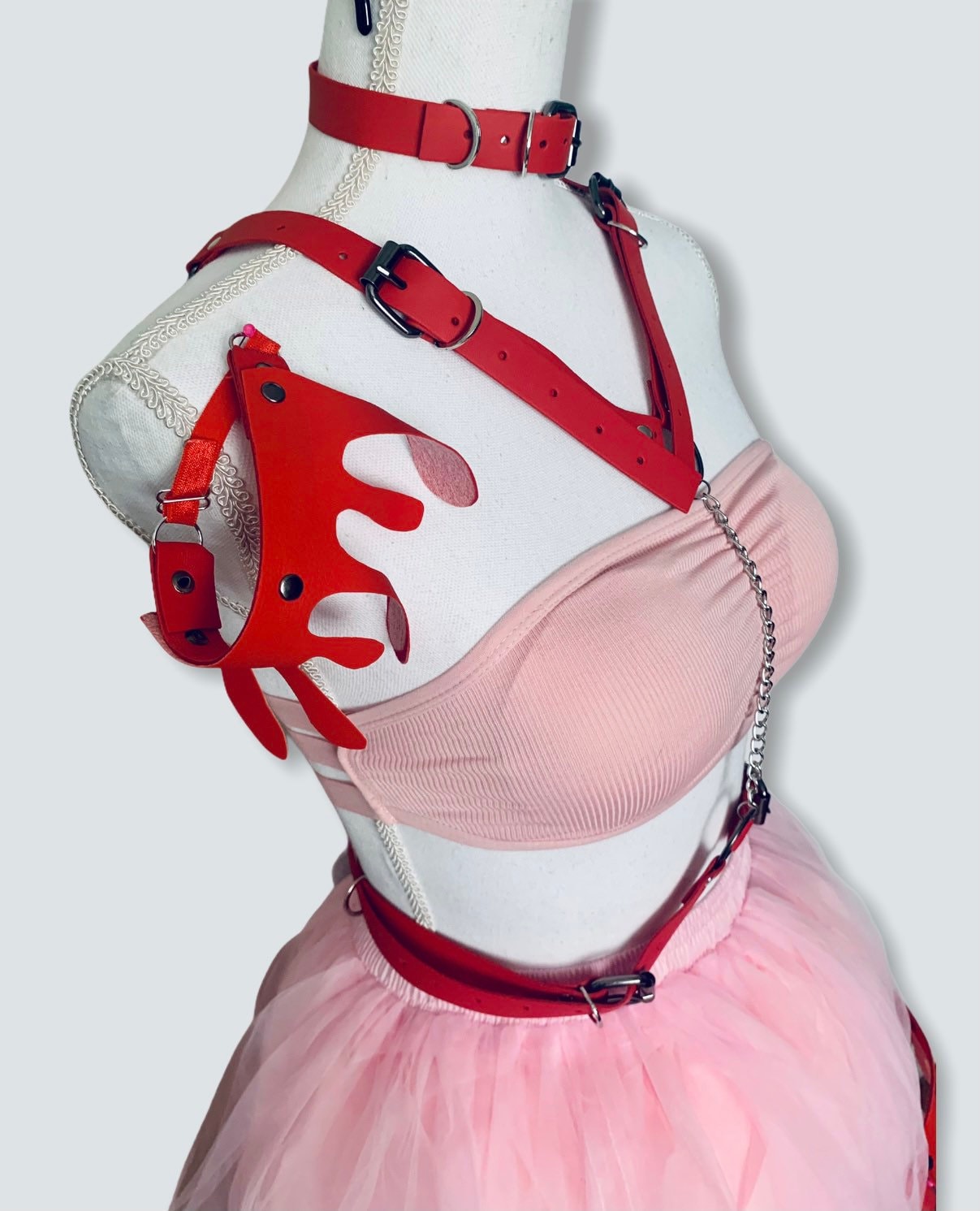 Sexy Bear Costume