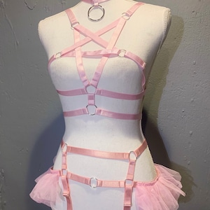 NEW Two-Piece Pink Harness Set