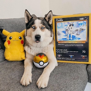 cartes pokémon personnalisées, cartes pokémon personnalisées, cadeaux pokémon, objets pokémon